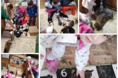 Collage_20250424_220800