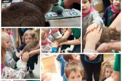 Collage_20250424_220847