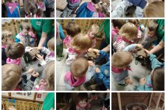 Collage_20250424_220912