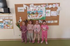 KODAK Digital Still Camera