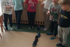 dd5dacba-2562-4497-a638-84ab52b90a23