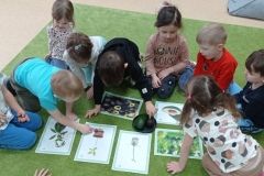 IMG_20230224_101507