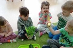 IMG_20230222_113747