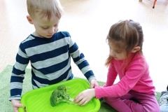 IMG_20230222_131659