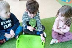 IMG_20230222_131739