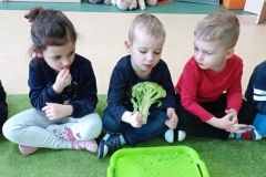 IMG_20230222_131806