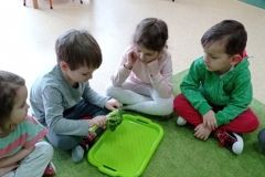 IMG_20230222_131815