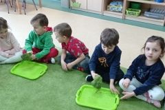 IMG_20230222_131834