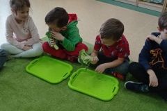 IMG_20230222_131845
