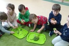 IMG_20230222_132011
