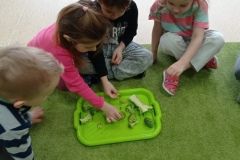 IMG_20230222_132149