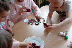 IMG_20230222_102806