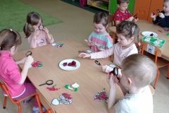 IMG_20230222_102853