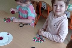 IMG_20230222_102942