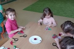 IMG_20230222_102949