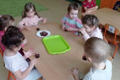 IMG_20230222_104151
