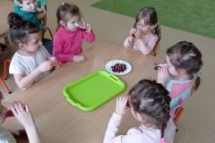 IMG_20230222_104205