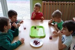 IMG_20230222_104729