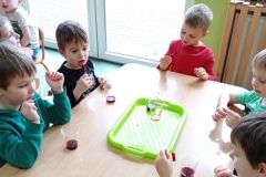 IMG_20230222_104750