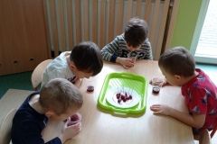 IMG_20230222_104904