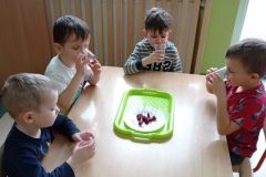 IMG_20230222_104914