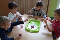 IMG_20230222_104929