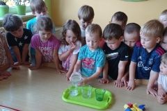 IMG_20230619_090553