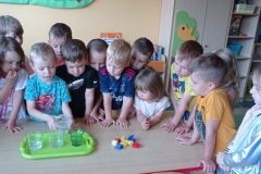 IMG_20230619_090607