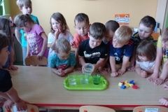 IMG_20230619_090639