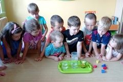 IMG_20230619_090716