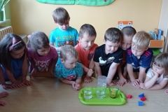 IMG_20230619_090724