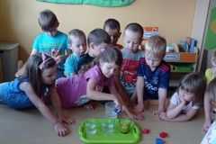 IMG_20230619_090738