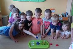 IMG_20230619_090744