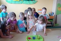 IMG_20230619_090808