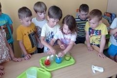 IMG_20230619_110358