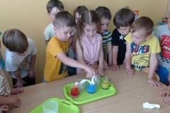 IMG_20230619_110422
