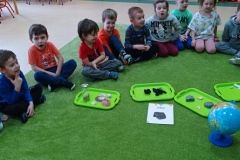 IMG_20230206_094502