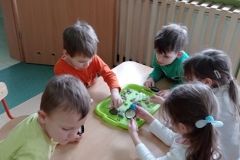 IMG_20230206_115238