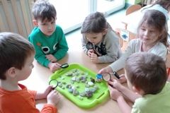 IMG_20230206_115247