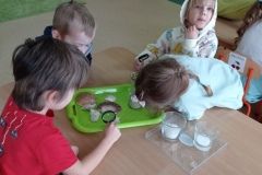 IMG_20230206_115301