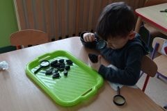 IMG_20230206_115457