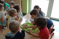 IMG_20230206_115509