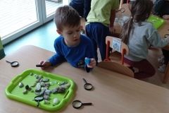 IMG_20230206_115642
