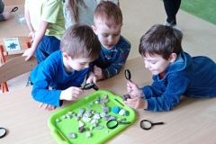 IMG_20230206_115702