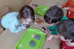 IMG_20230206_115729