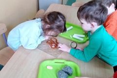 IMG_20230206_115827