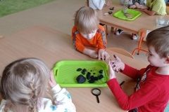 IMG_20230206_115839