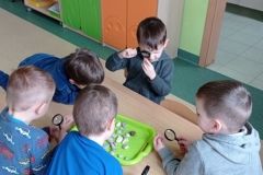 IMG_20230206_115853