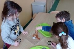 IMG_20230206_120031