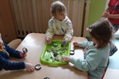 IMG_20230206_120128